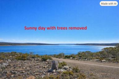 Residential Block For Sale - TAS - Tods Corner - 7030 - Corner block land with Lake views  (Image 2)