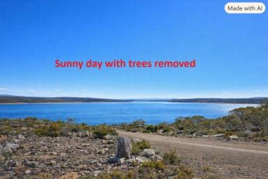 Residential Block For Sale - TAS - Tods Corner - 7030 - Corner block land with Lake views  (Image 2)