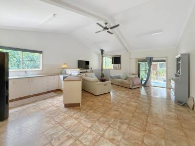 Acreage/Semi-rural For Sale - QLD - Wondecla - 4887 - Space, Privacy and Natural Beauty on 4.1acres  (Image 2)