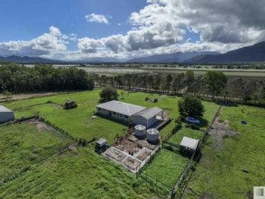 Acreage/Semi-rural For Sale - QLD - Jarra Creek - 4854 - Private 100-Acre Lifestyle Retreat with Quality Home & Cattle Infrastructure  (Image 2)