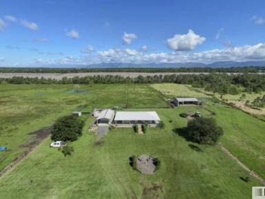 Acreage/Semi-rural For Sale - QLD - Jarra Creek - 4854 - Private 100-Acre Lifestyle Retreat with Quality Home & Cattle Infrastructure  (Image 2)