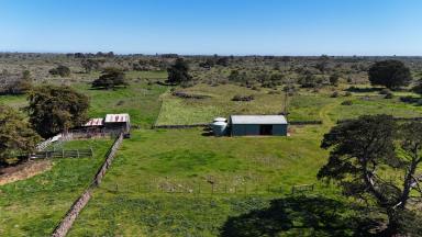 Livestock For Sale - VIC - Beeac - 3251 - Fertile Beeac-Dreeite District Grazing & Agricultural Opportunity  (Image 2)