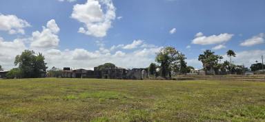 Residential Block For Sale - QLD - Ingham - 4850 - 3,726 SQ.M. BLOCK ON OUTSKIRTS OF TOWN!  (Image 2)