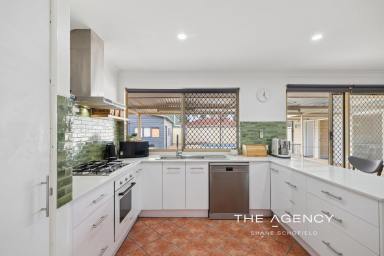 House For Sale - WA - Middle Swan - 6056 - Pool, Workshop, Rear Access and So Many More Extras  (Image 2)
