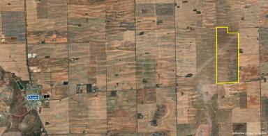 Cropping Auction - VIC - Ouyen - 3490 - BROADACRE CROPPING PROPERTY (Image 2)