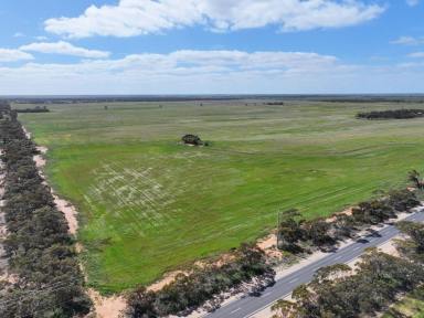 Cropping Auction - VIC - Ouyen - 3490 - BROADACRE CROPPING PROPERTY (Image 2)