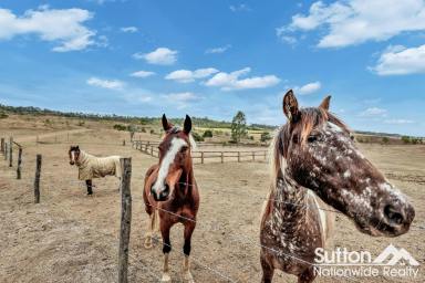 House For Sale - QLD - McIlwraith - 4671 - PRICE ADJUSTMENT - RURAL LIFESTYLE, HORSE-READY & JUST MINUTES FROM GIN GIN  (Image 2)