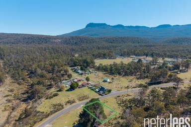Residential Block For Sale - TAS - Rossarden - 7213 - Room to Create, Space to Escape  (Image 2)