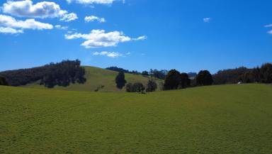 Residential Block For Sale - TAS - Beulah - 7306 - Productive Beulah Grazing Country  (Image 2)