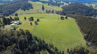 Residential Block For Sale - TAS - Beulah - 7306 - Productive Beulah Grazing Country  (Image 2)