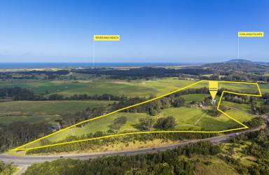Lifestyle For Sale - NSW - Berry - 2535 - 'Athelglow' (Image 2)