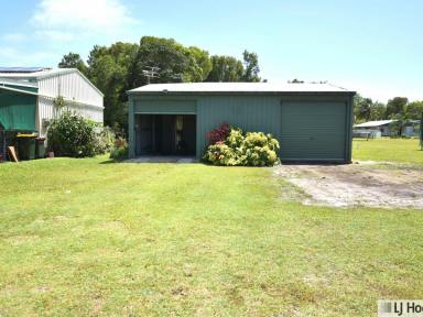 Residential Block For Sale - QLD - Kurrimine Beach - 4871 - Coastal Block with Shed Just 400m from the Beach  (Image 2)