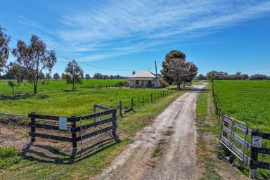 Cropping For Sale - VIC - Lockington - 3563 - 20 ACRE IRRIGATED LUCERNE FARM  (Image 2)