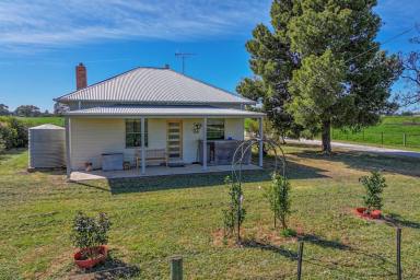 Cropping For Sale - VIC - Lockington - 3563 - 20 ACRE IRRIGATED LUCERNE FARM  (Image 2)