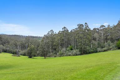 Residential Block For Sale - VIC - Icy Creek - 3833 - Private Sub-Alpine Sanctuary - A Rare Opportunity to Build Your Dream Retreat (Image 2)