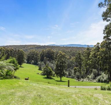 Residential Block For Sale - VIC - Icy Creek - 3833 - Private Sub-Alpine Sanctuary - A Rare Opportunity to Build Your Dream Retreat (Image 2)