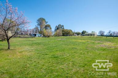 Residential Block For Sale - NSW - Glencoe - 2365 - Build Your Future in Glencoe  (Image 2)