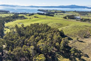 Residential Block For Sale - TAS - Premaydena - 7185 - Pristine North-Facing Position with Expansive Coastal Views to Tasmania's East Coast  (Image 2)