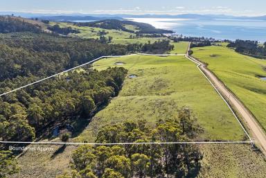 Residential Block For Sale - TAS - Premaydena - 7185 - Pristine North-Facing Position with Expansive Coastal Views to Tasmania's East Coast  (Image 2)