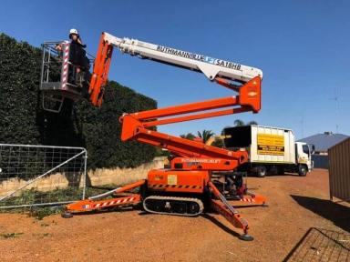 Business For Sale - WA - Perth - 6000 - Two Long-Established Arborist Businesses with Strong Cashflow & Major Contracts (Image 2)