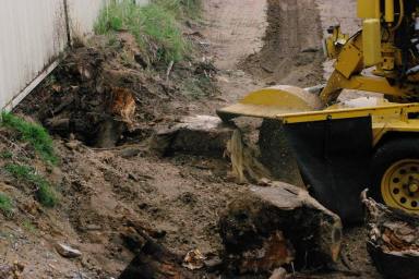 Business For Sale - WA - Perth - 6000 - Two Long-Established Arborist Businesses with Strong Cashflow & Major Contracts  (Image 2)