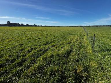 Lifestyle For Sale - NSW - Cootamundra - 2590 - BUILD YOUR DREAM HOME  (Image 2)