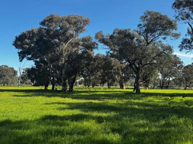 Lifestyle For Sale - NSW - Cootamundra - 2590 - BUILD YOUR DREAM HOME  (Image 2)