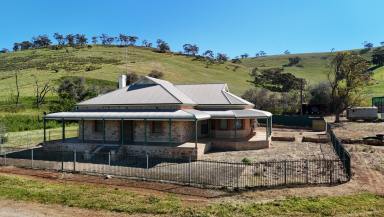 Livestock For Sale - SA - Washpool - 5454 - Productive & Scenic Mid North Grazing Opportunity (Image 2)