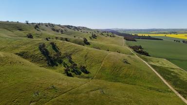 Livestock For Sale - SA - Washpool - 5454 - Productive & Scenic Mid North Grazing Opportunity (Image 2)