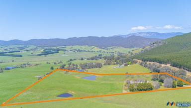 House For Sale - VIC - Myrtleford - 3737 - Stunning Rosewhite Valley Views & Country Lifestyle  (Image 2)