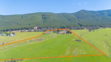 House For Sale - VIC - Myrtleford - 3737 - Stunning Rosewhite Valley Views & Country Lifestyle  (Image 2)