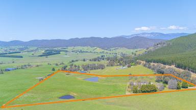 House For Sale - VIC - Myrtleford - 3737 - Stunning Rosewhite Valley Views & Country Lifestyle  (Image 2)