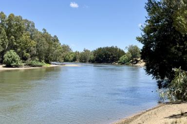 Mixed Farming For Sale - NSW - Oura - 2650 - A SLICE OF MURRUMBIDGEE HEAVEN  (Image 2)