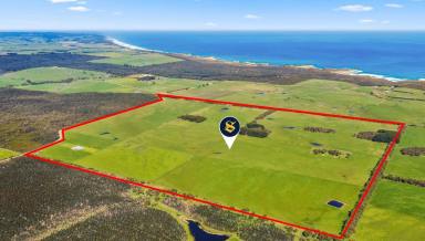 Livestock For Sale - VIC - Port Campbell - 3269 - TOP CLASS ATTRACTIVE PORT CAMPBELL DISTRICT COUNTRY  (Image 2)