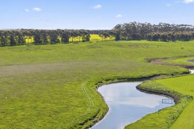 Livestock For Sale - VIC - Wingeel - 3321 - QUALITY INVERLEIGH – WINCHELSEA DISTRICT PROPERTY (Image 2)