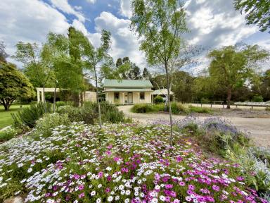 House For Sale - SA - Mundulla - 5270 - A Peaceful Country Lifestyle on 5 Acres (Image 2)