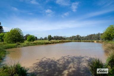 Residential Block For Sale - VIC - Longlea - 3551 - Extremely Appealing Building Allotment - 4.5Ha / 11 Acres  (Image 2)