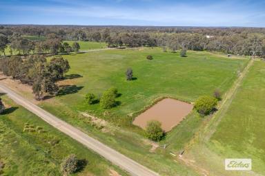 Residential Block For Sale - VIC - Longlea - 3551 - Extremely Appealing Building Allotment - 4.5Ha / 11 Acres  (Image 2)