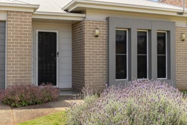 Villa For Sale - QLD - Rangeville - 4350 - Spacious and private free standing villa - No body corporate fees (Image 2)