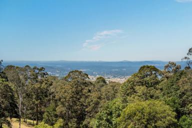 House For Sale - QLD - Ocean View - 4521 - Dual living, privacy and views all the way to Brisbane city skyline (Image 2)