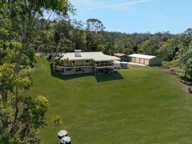 House For Sale - QLD - Ocean View - 4521 - Dual living, privacy and views all the way to Brisbane city skyline (Image 2)