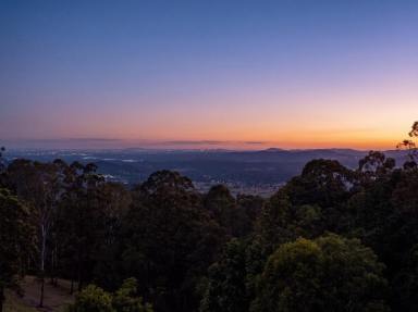 House For Sale - QLD - Ocean View - 4521 - Dual living, privacy and views all the way to Brisbane city skyline (Image 2)