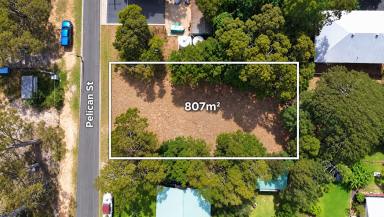 Residential Block For Sale - QLD - Macleay Island - 4184 - Elevated Island Block 807m2 - Ready for Your Dream Home  (Image 2)