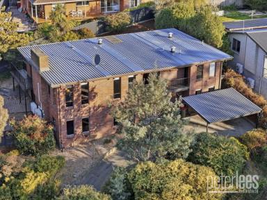 House For Sale - TAS - Norwood - 7250 - Spacious Family Living in Popular Norwood  (Image 2)