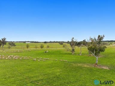 Mixed Farming For Sale - NSW - Boro - 2622 - SCALE, PRODUCTIVITY & APPROVED SUBDIVISION POTENTIAL  (Image 2)