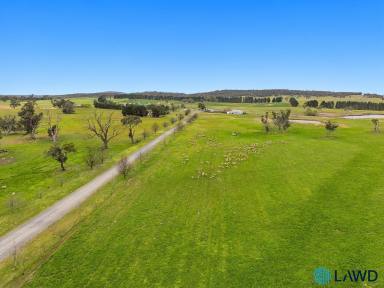 Mixed Farming For Sale - NSW - Boro - 2622 - SCALE, PRODUCTIVITY & APPROVED SUBDIVISION POTENTIAL  (Image 2)