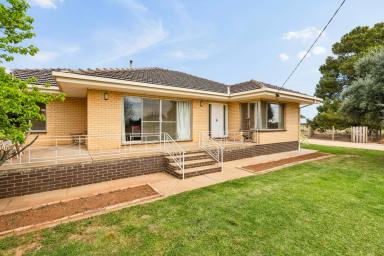 House For Sale - VIC - Merbein West - 3505 - Private Acreage Living  (Image 2)