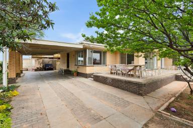 House For Sale - VIC - Merbein West - 3505 - Private Acreage Living  (Image 2)
