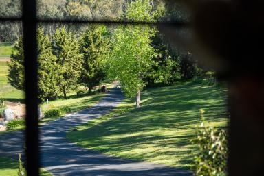 House For Sale - NSW - West Albury - 2640 - Rural-Style Privacy in the Heart of Albury  (Image 2)
