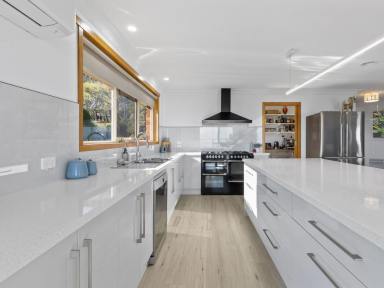 House For Sale - TAS - Ulverstone - 7315 - Elevated Living With a View to Remember (Image 2)